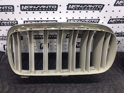 OEM 14-17BMW X5-X6 FRONT AND LEFT GRILLE OEM SKU 1170