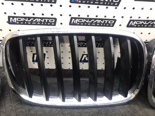 2007-2013 BMW X5 LEFT HOOD KIDNEY GRILLE OEM  SKU 1171