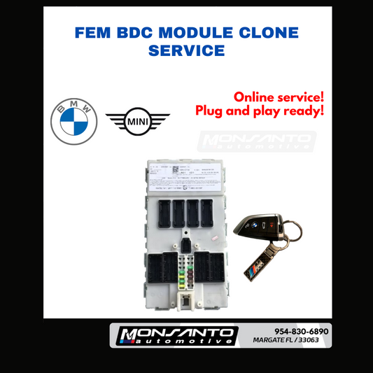 FEM BDC Module Clone Service